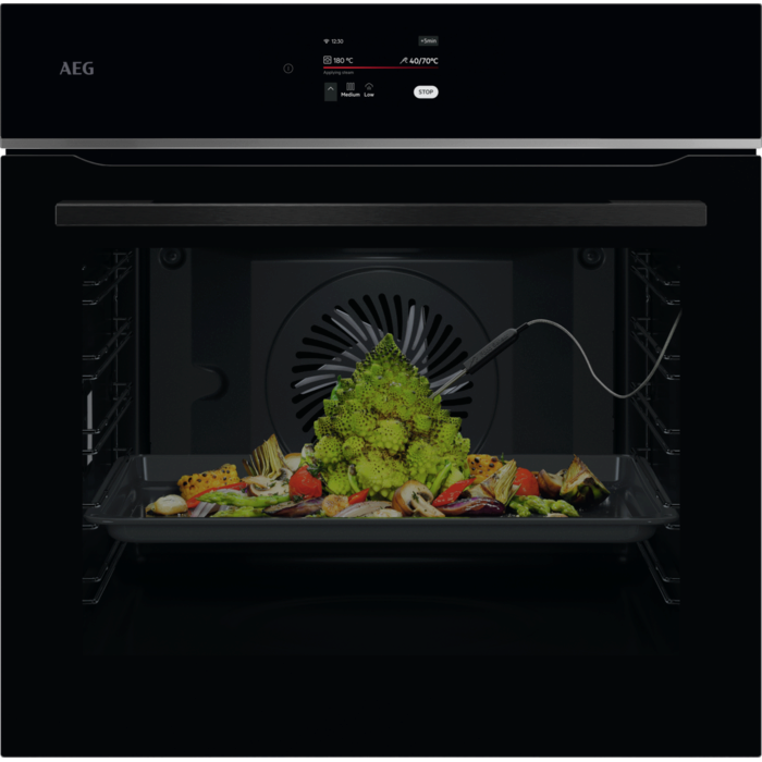 AEG - Four encastrable - TE8PB731AB