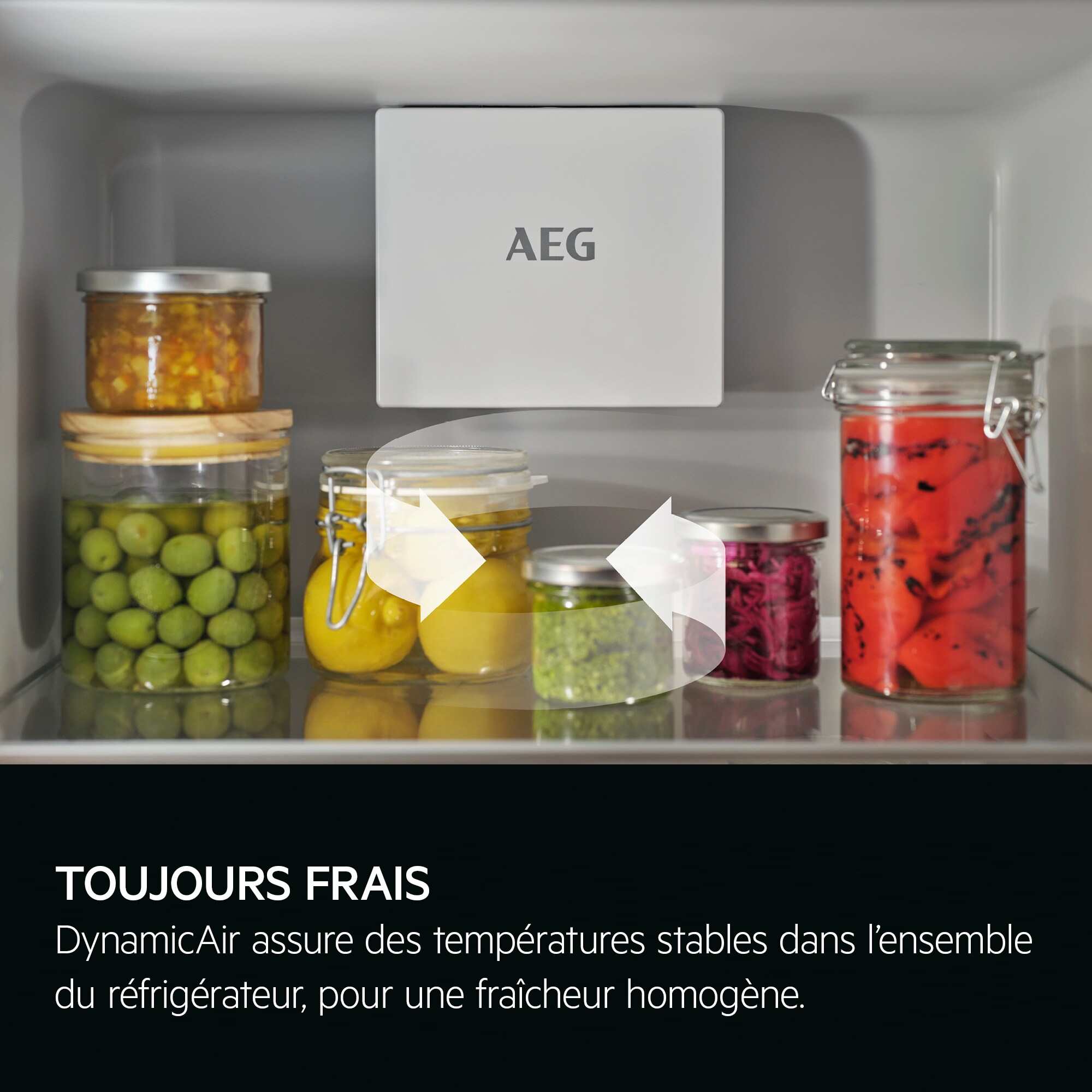 AEG - Frigo encastrable - TK6FS181DS