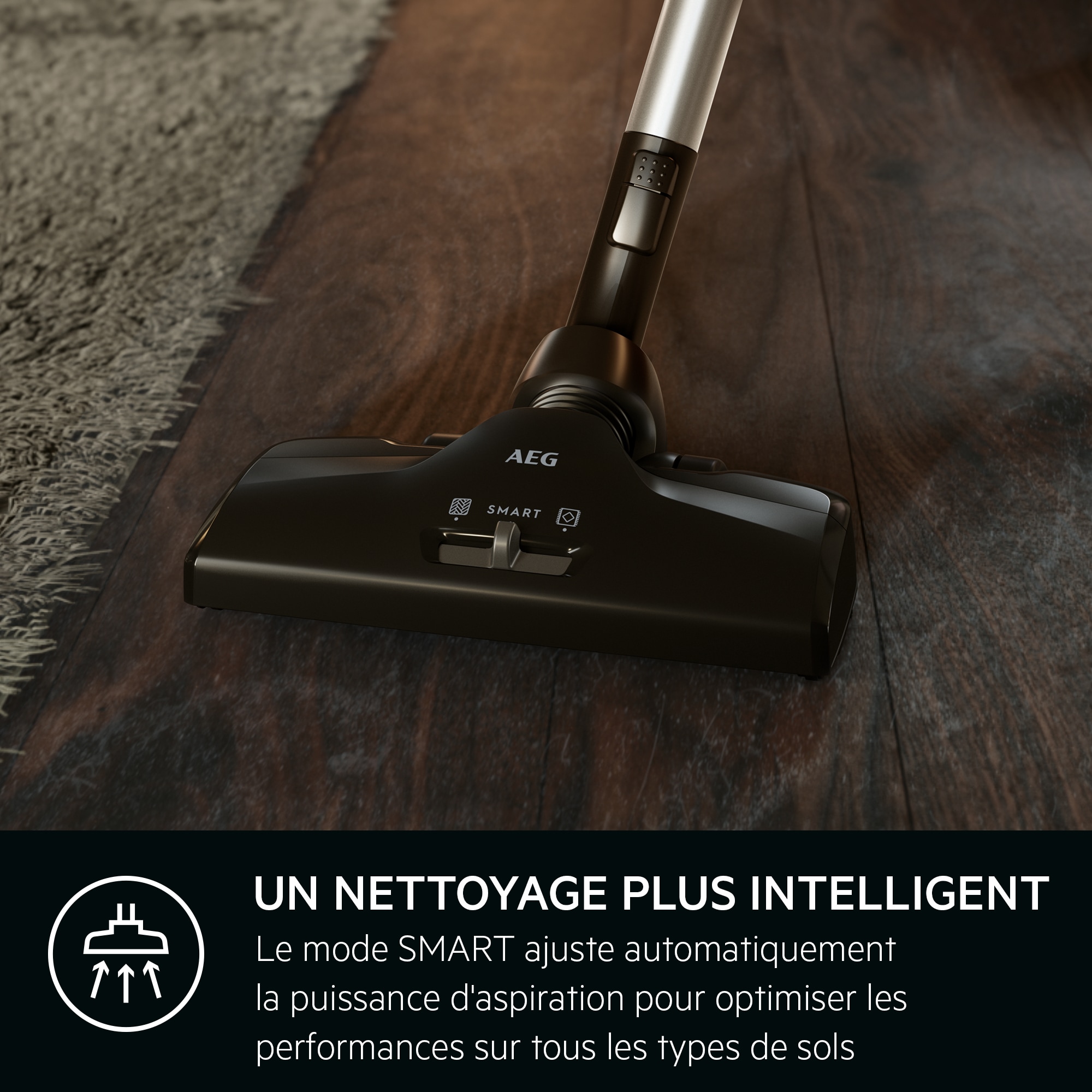 AEG - Aspirateur avec sac - VX82-1-2CR