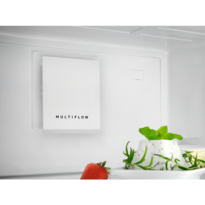 AEG - Frigo pose libre - ORK7M391DW