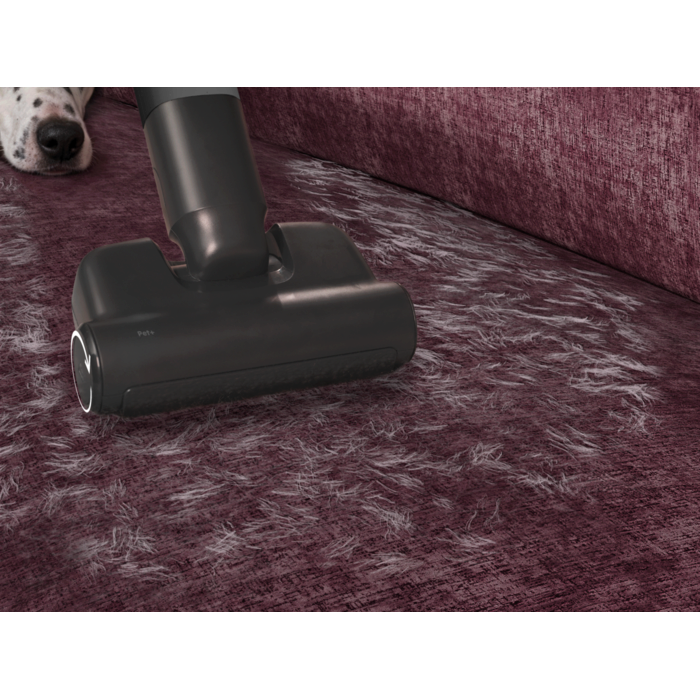 Pet+ nozzle easily removes fur from fabric and furnishings.