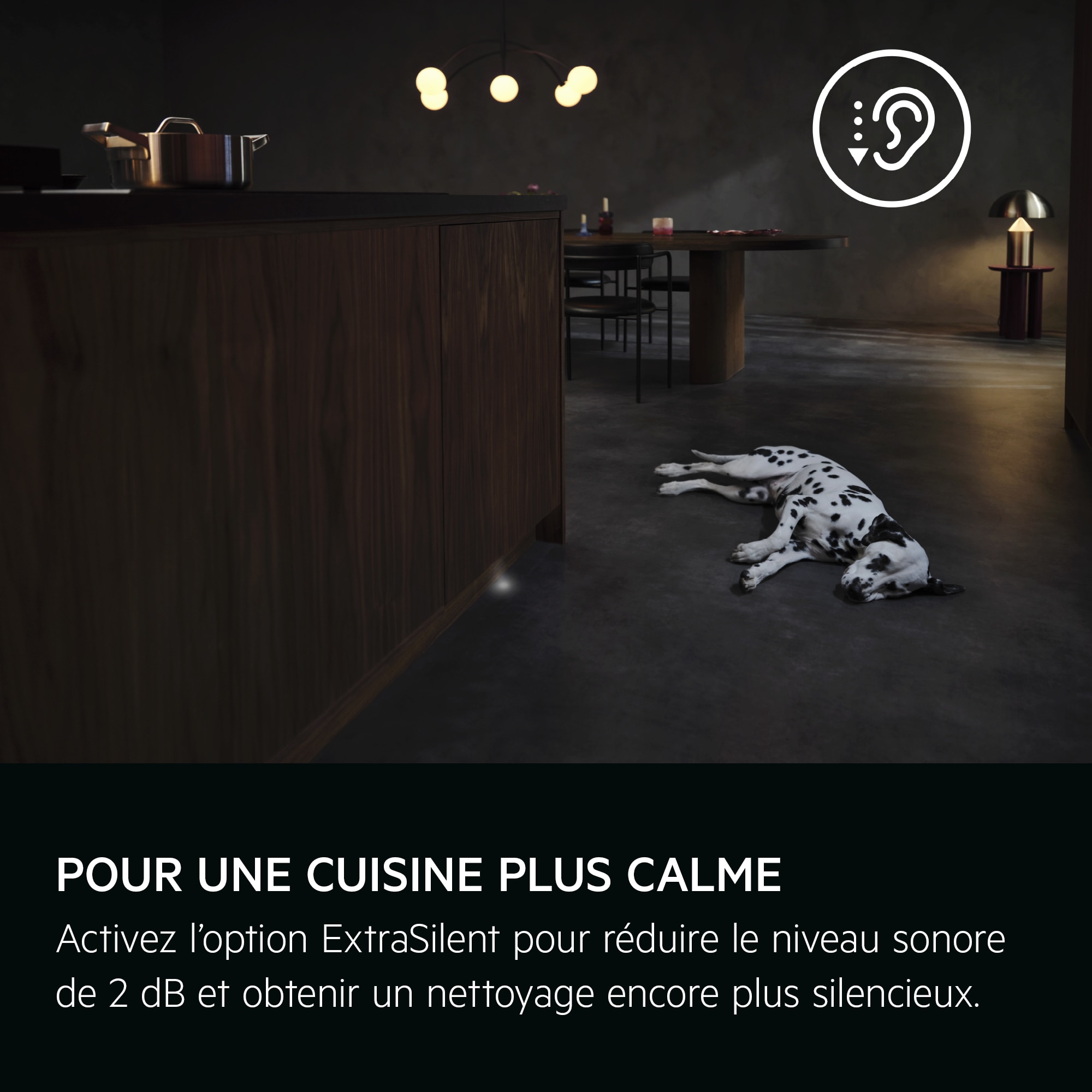 
            BRENG MEER RUST IN JE KEUKEN
           
            
            Activeer ExtraSilent en verlaag het geluidsniveau met tot wel 2 dB(A), voor nog stiller afwassen.
          
          