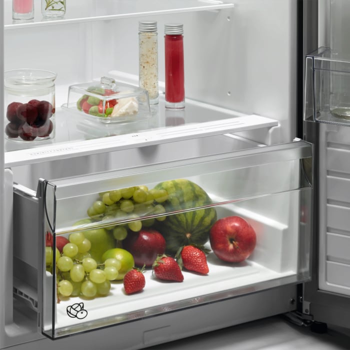AEG - Frigo pose libre - ORK6D391EW