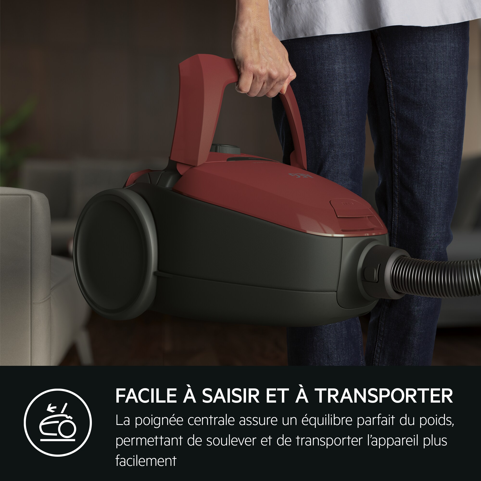 AEG - Aspirateur avec sac - VX82-1-2CR