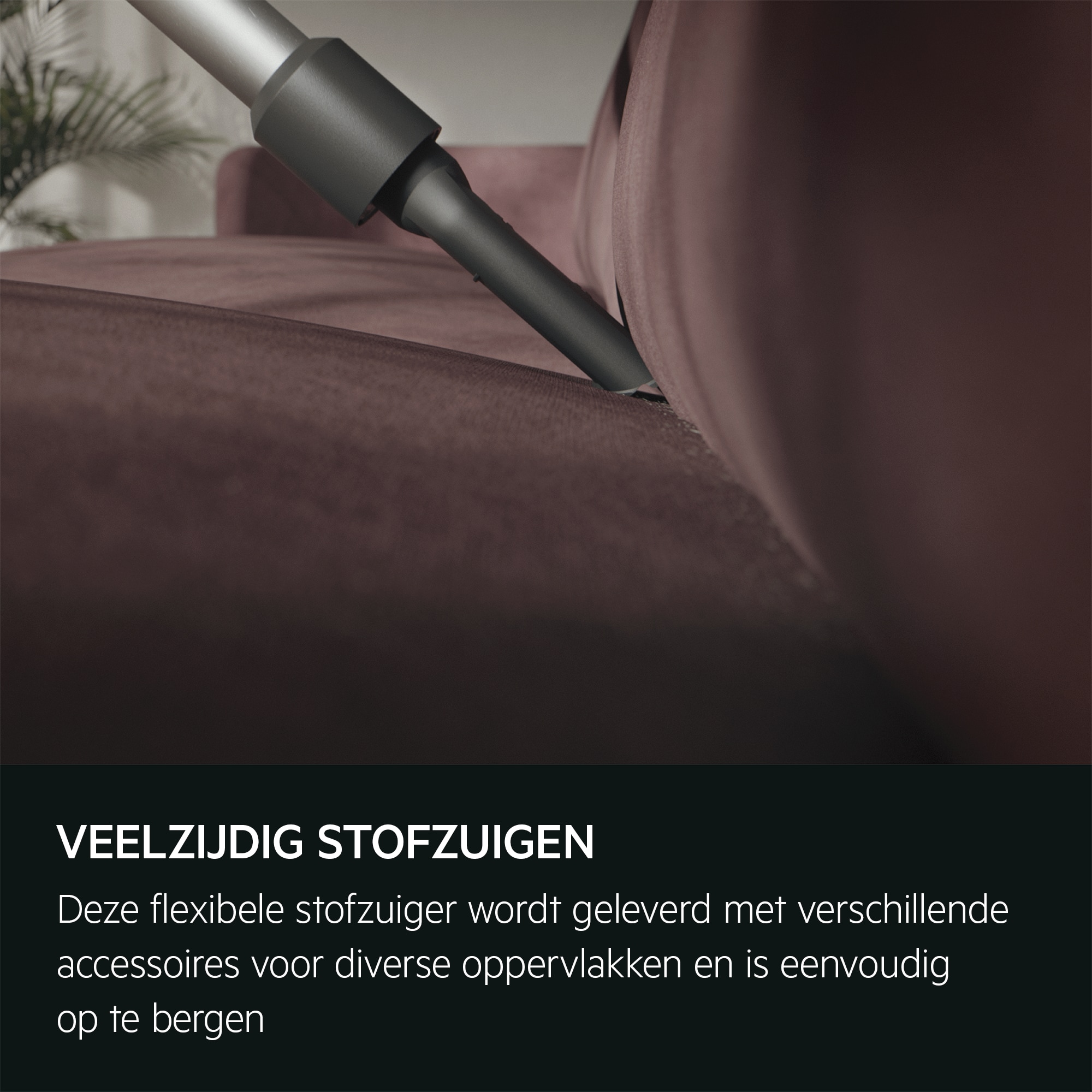 AEG - Draadloze steelstofzuiger - AP31CB21TG