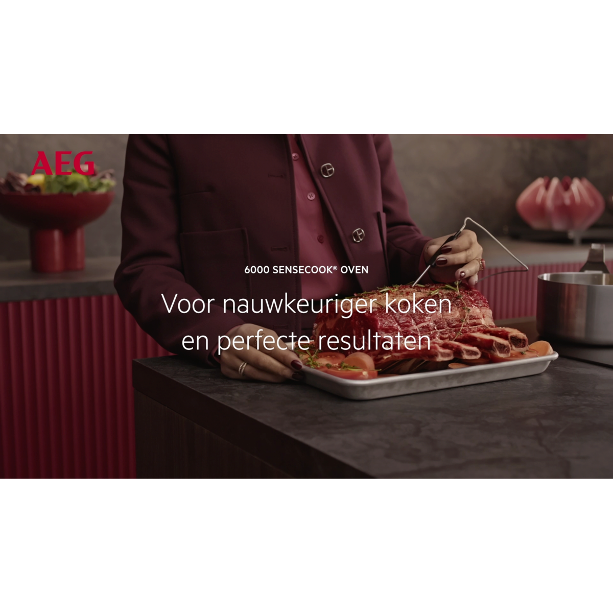 AEG - Pyrolyse oven - TS6PB50WAB