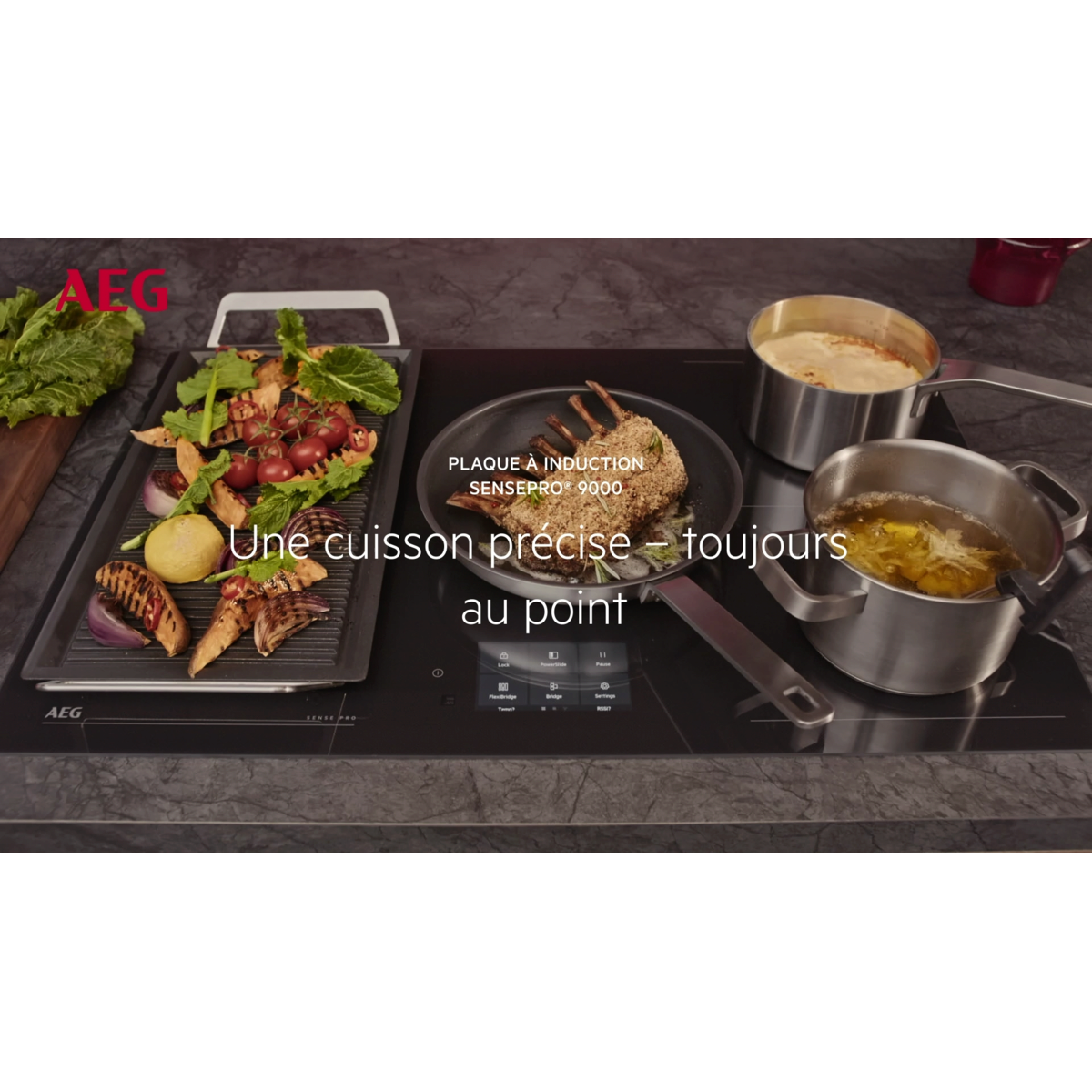 AEG - Taque avec hotte intégrée - PE9000B80