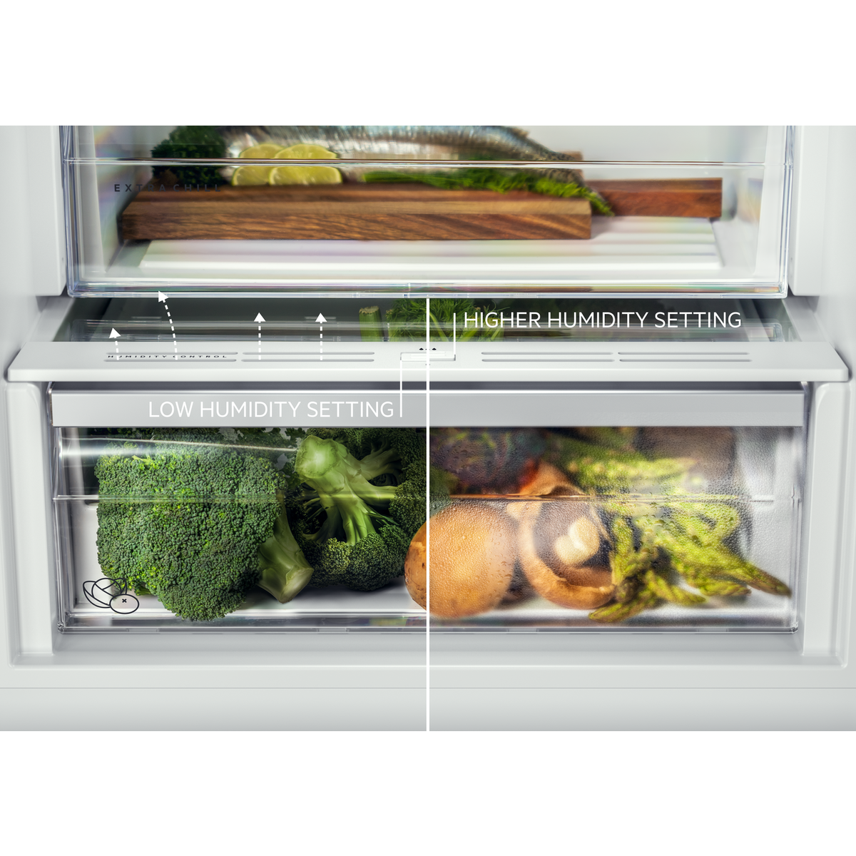 AEG - Frigo pose libre - ORK6D391EW