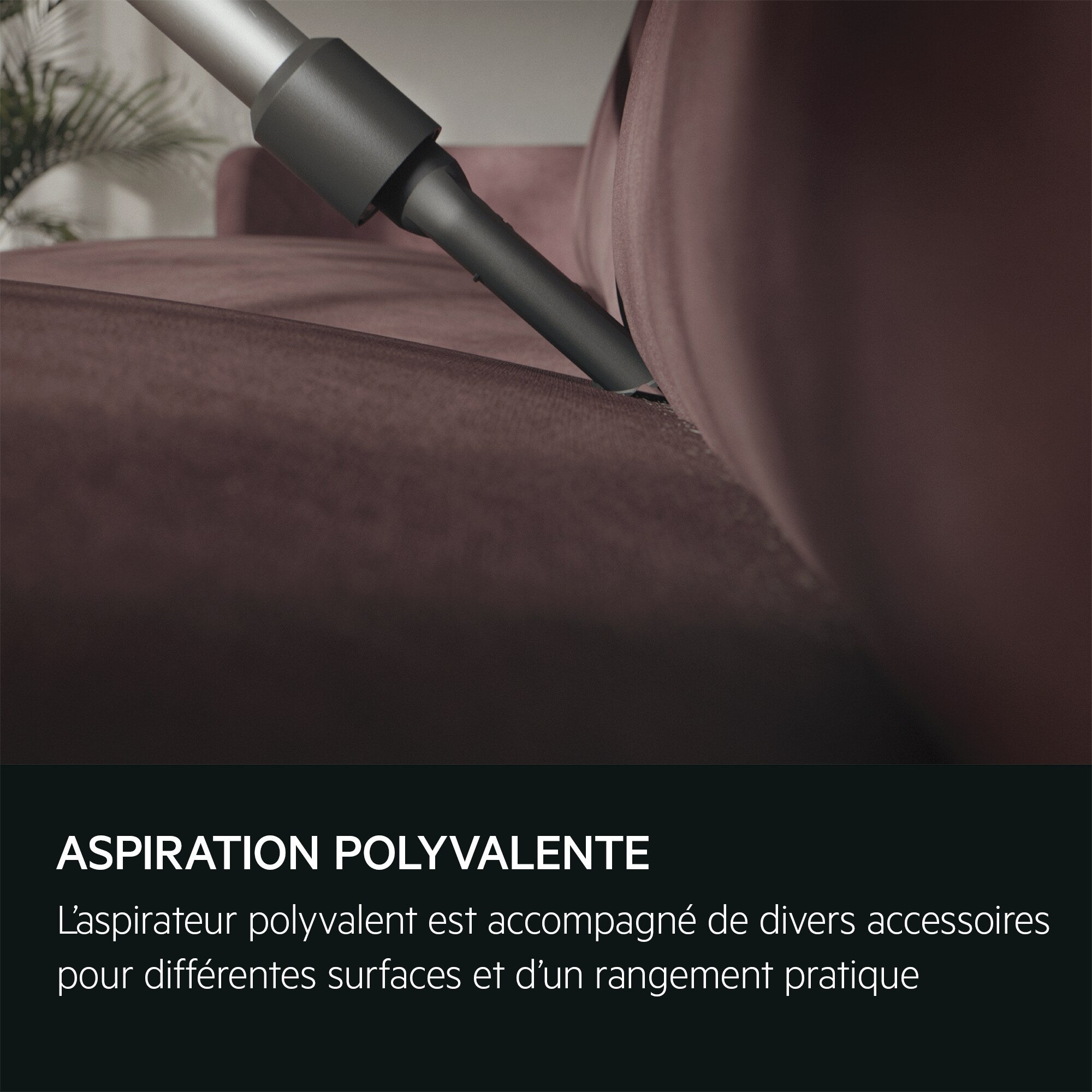 AEG - Aspirateur balai sans fil - AP31CB21TG