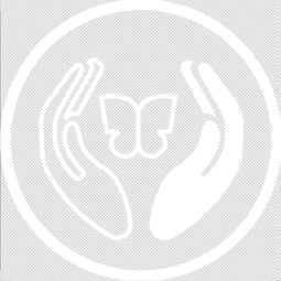 DualSense 