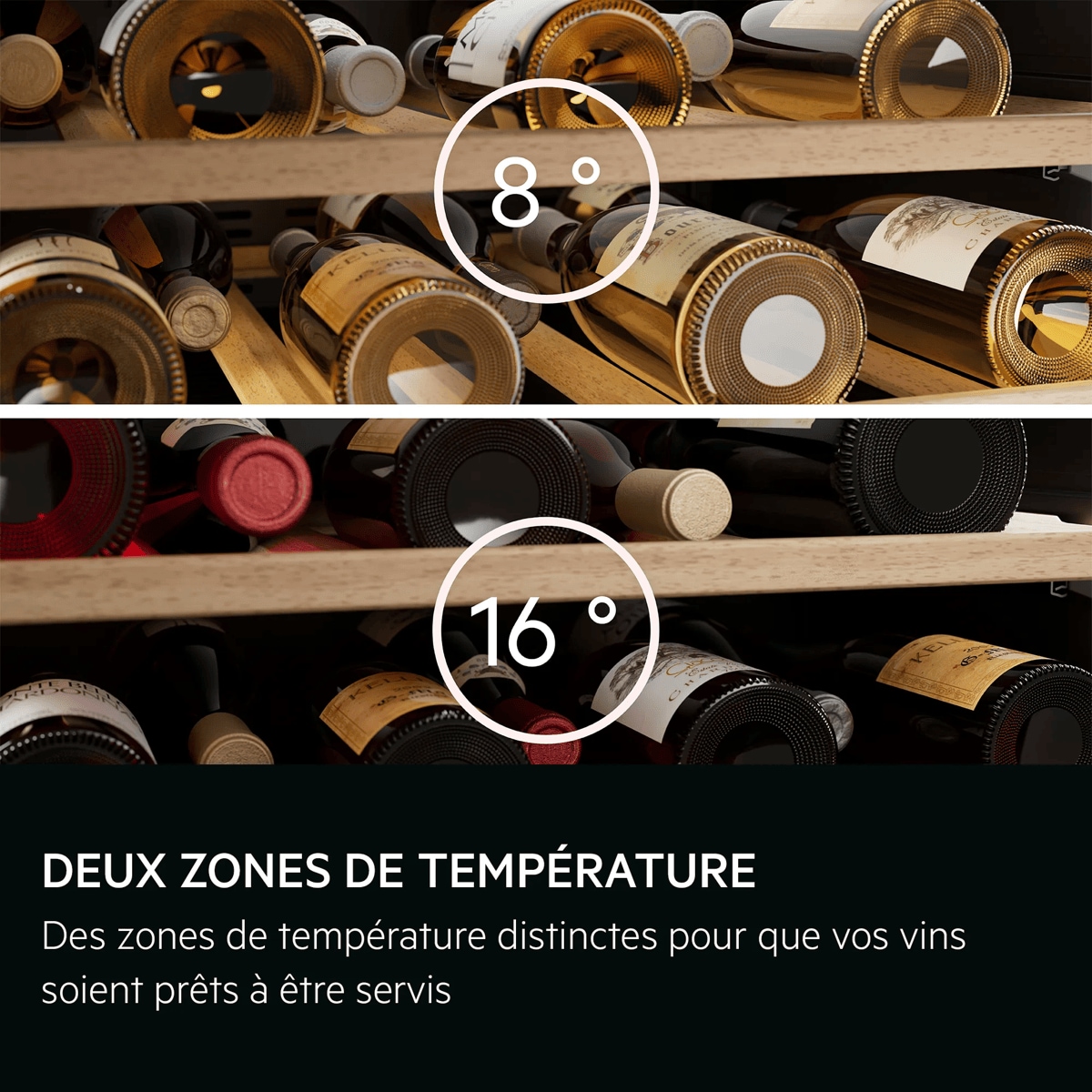 DEUX ZONES DE TEMPÉRATURE Des zones de température distinctes pour que vos vins soient prêts à être servis
     8 ° 16 °