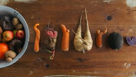 Légumes racines de différentes formes