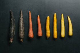 Une série de carottes de différentes couleurs