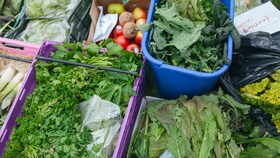 Une sélection de différentes salades