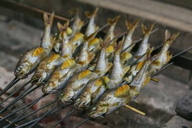 Une série de poissons en pleine cuisson sur un barbecue à charbon