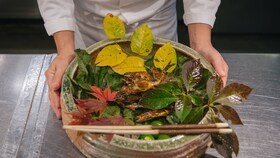 Un bol en bois rempli d’herbes et de feuilles fraîchement cueillies
