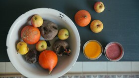 Un bol de fruits biologiques comme des oranges