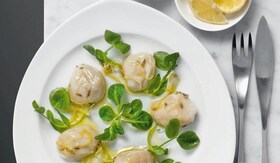scallops on plate