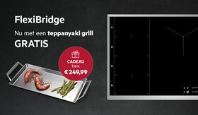 Actie Flexibridge