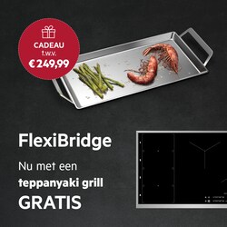 FLEXIBRIDGE : MAXIMAAL KOOKPLEZIER