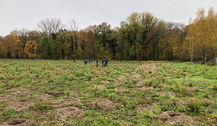 AEG boomplantdag