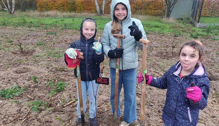 AEG boomplantdag