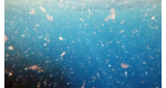 Icône de poisson mort dans la mer